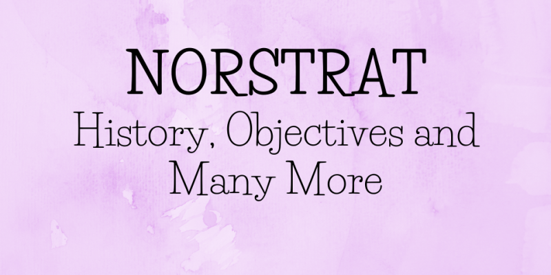 Norstrat: History, Purposes, Services, Objectives, Clients & Much More